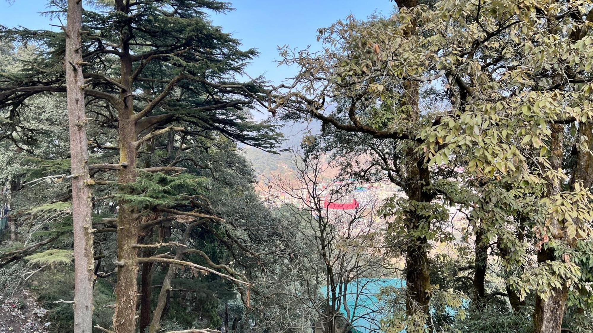Hotel Pride Inn - 800 Mts From Mall Road Mussoorie Luaran gambar